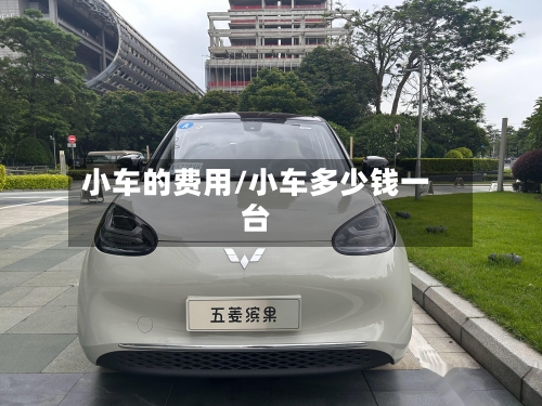 小车的费用/小车多少钱一台