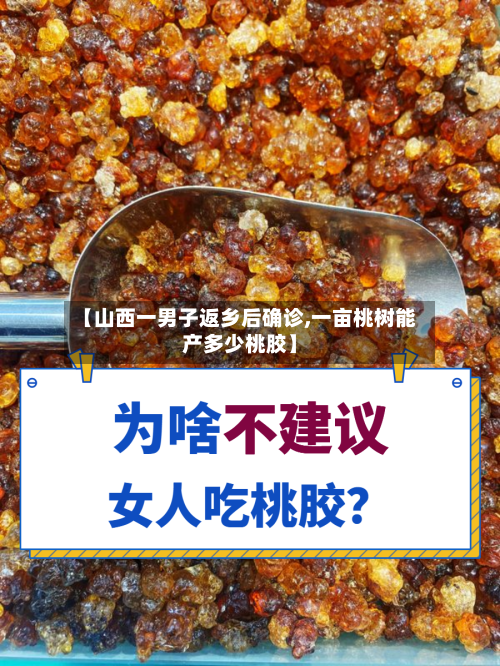 【山西一男子返乡后确诊,一亩桃树能产多少桃胶】-第2张图片