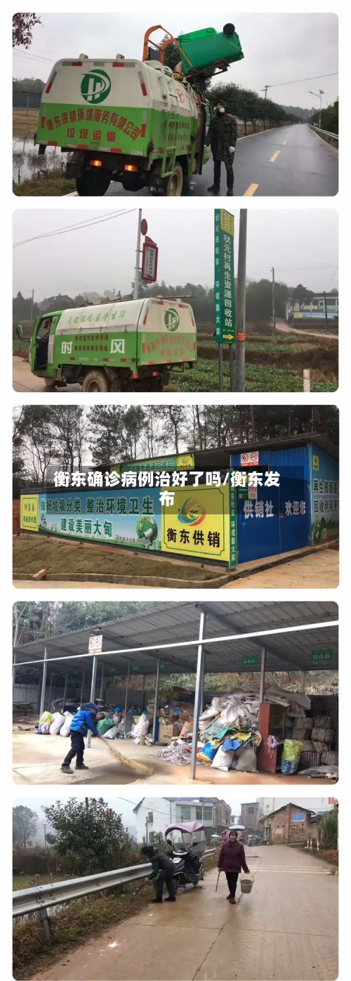 衡东确诊病例治好了吗/衡东发布