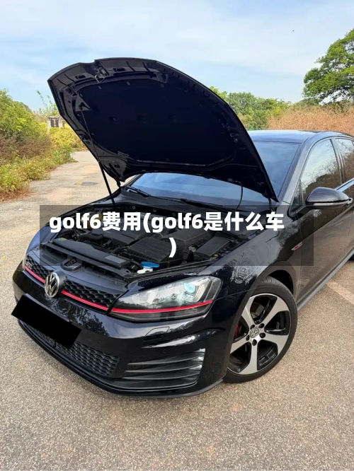 golf6费用(golf6是什么车)