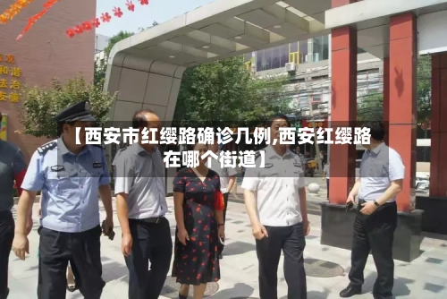 【西安市红缨路确诊几例,西安红缨路在哪个街道】