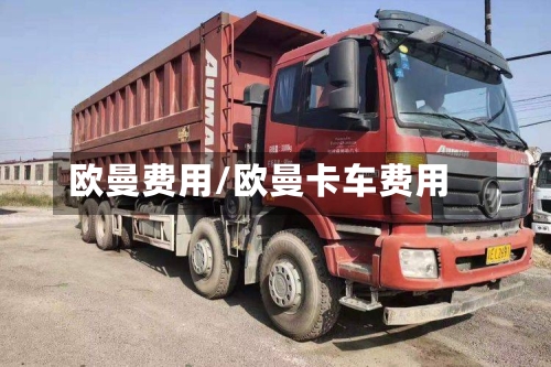 欧曼费用/欧曼卡车费用