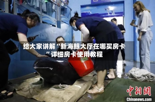 给大家讲解“新海鲸大厅在哪买房卡”详细房卡使用教程-第2张图片