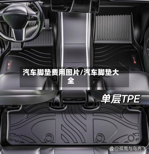 汽车脚垫费用图片/汽车脚垫大全