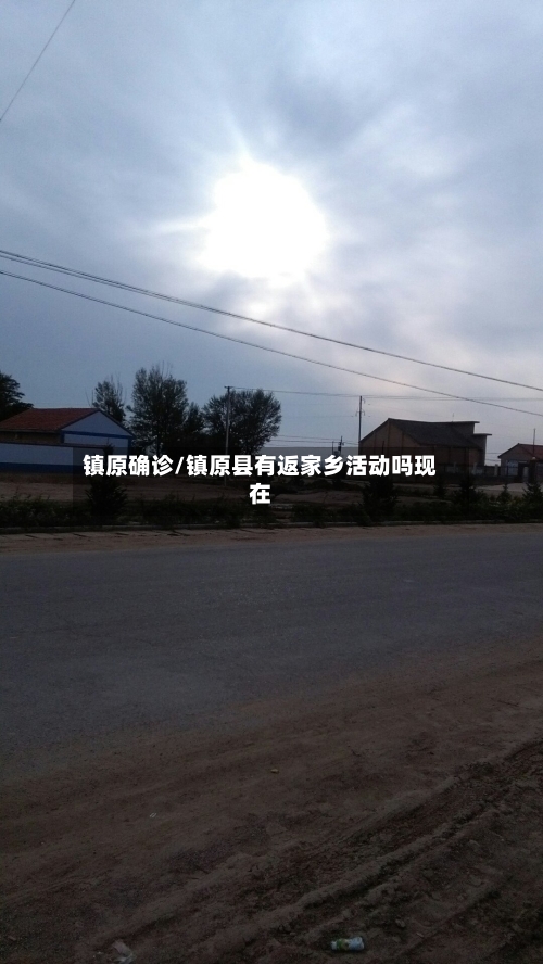 镇原确诊/镇原县有返家乡活动吗现在-第2张图片