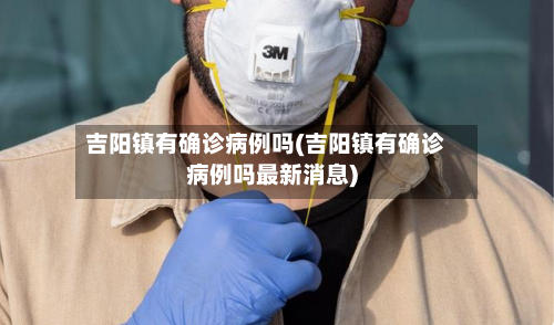 吉阳镇有确诊病例吗(吉阳镇有确诊病例吗最新消息)-第2张图片