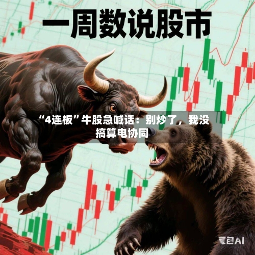 “4连板”牛股急喊话：别炒了，我没搞算电协同