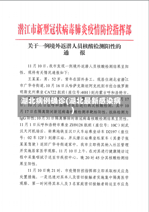 湖北病例确诊(湖北最新感染病)