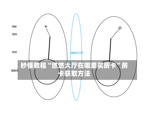 秒懂教程“悠悠大厅在哪里买房卡”房卡获取方法