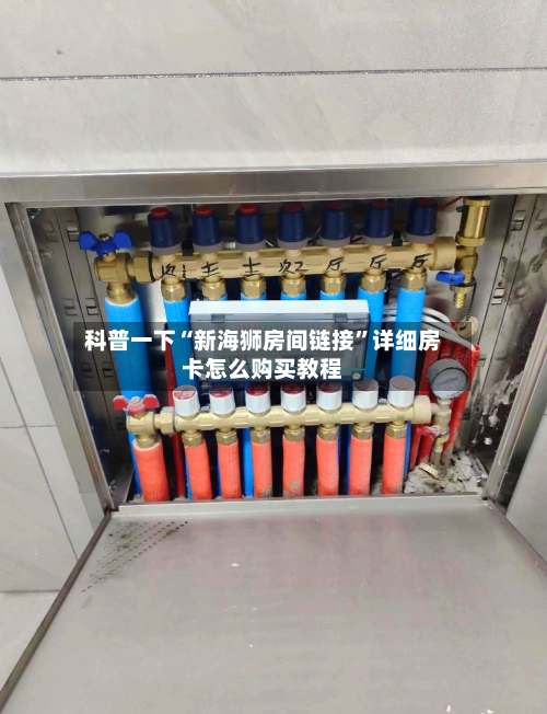 科普一下“新海狮房间链接”详细房卡怎么购买教程