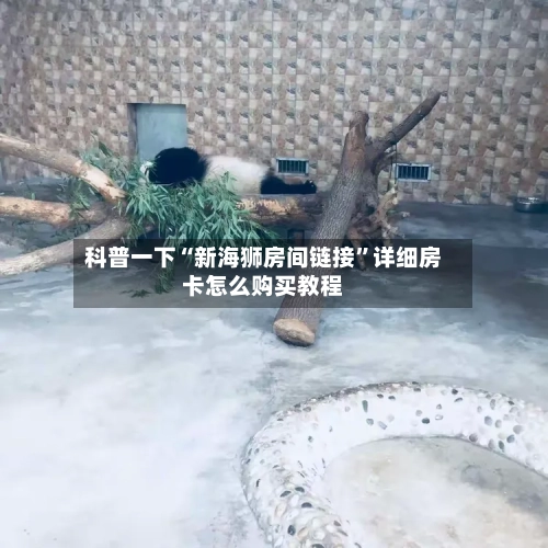 科普一下“新海狮房间链接”详细房卡怎么购买教程-第2张图片