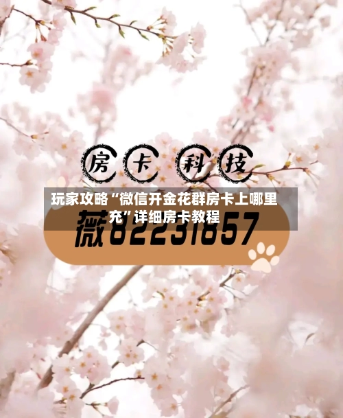 玩家攻略“微信开金花群房卡上哪里充	”详细房卡教程-第2张图片