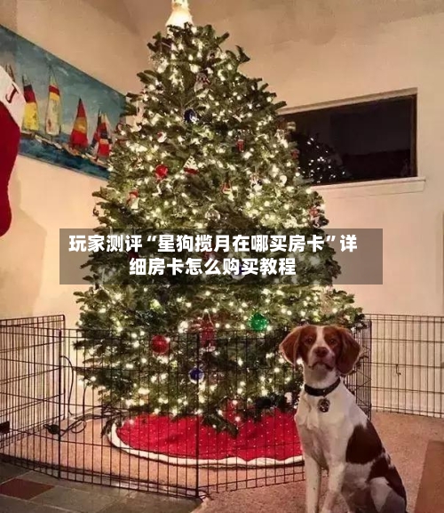 玩家测评“星狗揽月在哪买房卡”详细房卡怎么购买教程-第2张图片