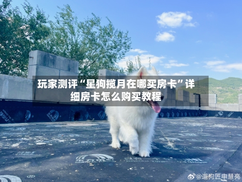 玩家测评“星狗揽月在哪买房卡”详细房卡怎么购买教程-第3张图片