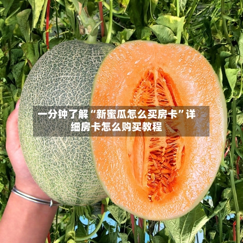 一分钟了解“新蜜瓜怎么买房卡	”详细房卡怎么购买教程-第3张图片