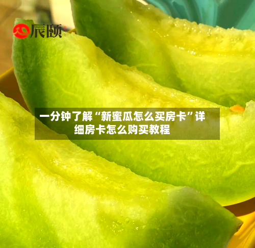 一分钟了解“新蜜瓜怎么买房卡”详细房卡怎么购买教程-第2张图片