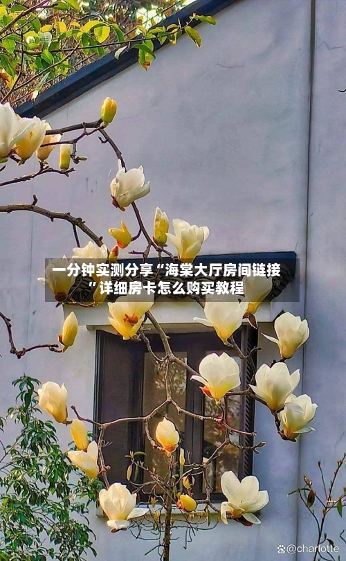 一分钟实测分享“海棠大厅房间链接”详细房卡怎么购买教程