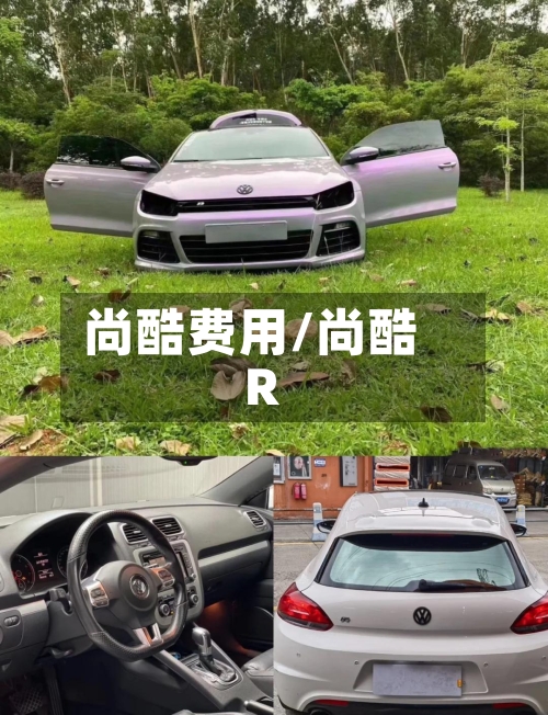 尚酷费用/尚酷 R-第2张图片