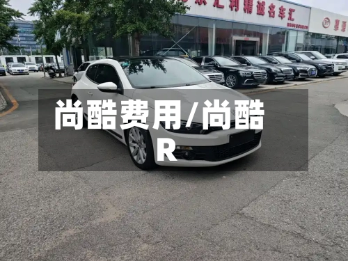 尚酷费用/尚酷 R-第3张图片