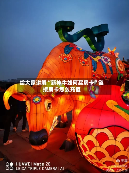 给大家讲解“新神牛如何买房卡”链接房卡怎么充值-第2张图片