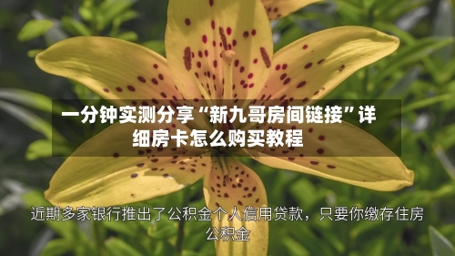 一分钟实测分享“新九哥房间链接”详细房卡怎么购买教程