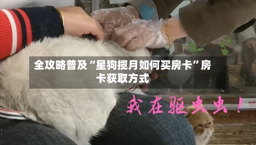 全攻略普及“星狗揽月如何买房卡”房卡获取方式-第3张图片