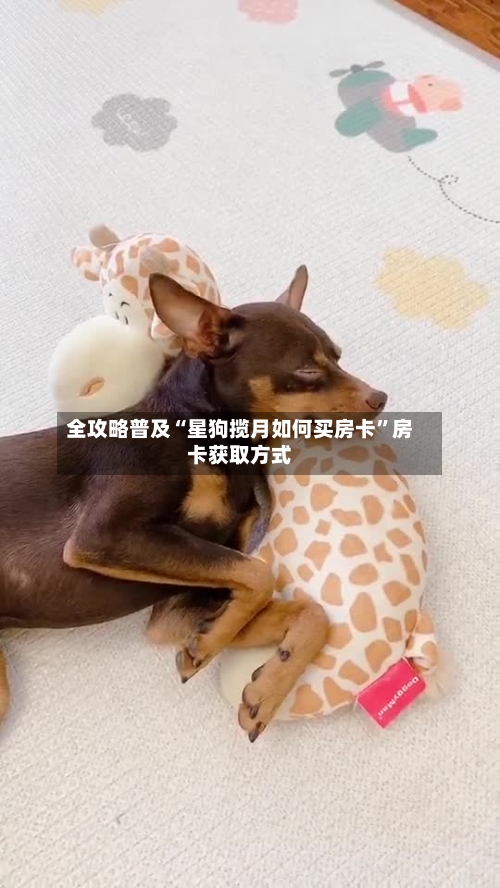 全攻略普及“星狗揽月如何买房卡”房卡获取方式-第2张图片