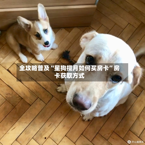 全攻略普及“星狗揽月如何买房卡”房卡获取方式