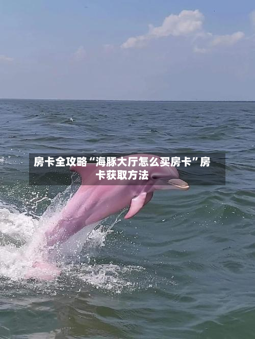 房卡全攻略“海豚大厅怎么买房卡”房卡获取方法
