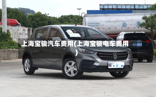 上海宝骏汽车费用(上海宝骏电车费用)-第2张图片