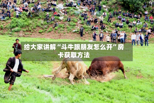 给大家讲解“斗牛跟朋友怎么开”房卡获取方法-第2张图片