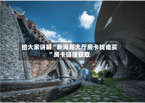 给大家讲解“新海鸟大厅房卡找谁买”房卡链接获取