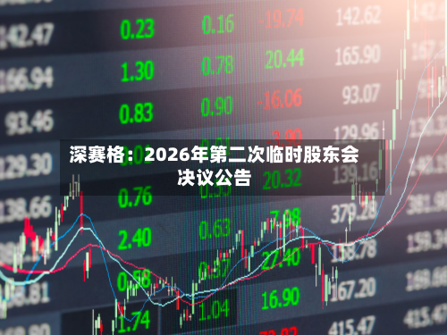 深赛格:2026年第二次临时股东会决议公告
