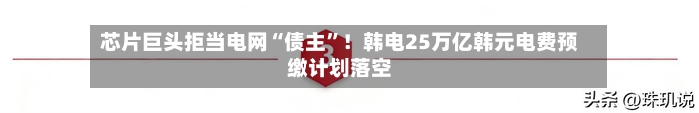 芯片巨头拒当电网“债主”！韩电25万亿韩元电费预缴计划落空