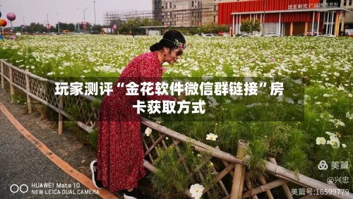 玩家测评“金花软件微信群链接”房卡获取方式-第2张图片