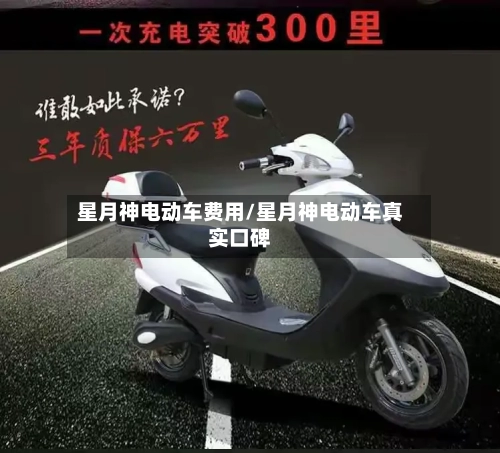 星月神电动车费用/星月神电动车真实口碑