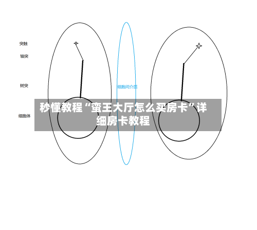 秒懂教程“蛮王大厅怎么买房卡”详细房卡教程