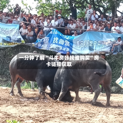 一分钟了解“斗牛房咔找谁购买	”房卡链接获取-第3张图片