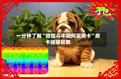 一分钟了解“微信斗牛如何买房卡”房卡链接获取