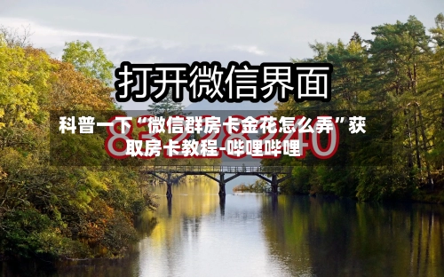 科普一下“微信群房卡金花怎么弄	”获取房卡教程-哔哩哔哩-第3张图片