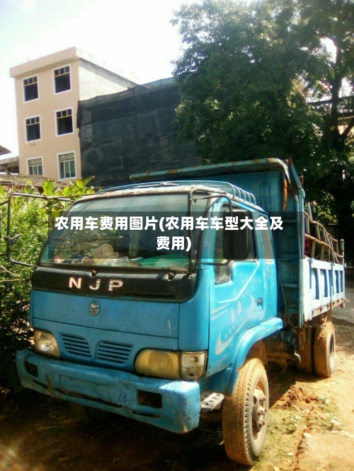 农用车费用图片(农用车车型大全及费用)-第2张图片