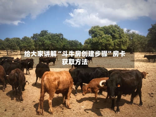 给大家讲解“斗牛房创建步骤”房卡获取方法
