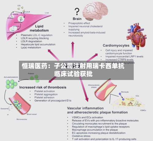 恒瑞医药:子公司注射用瑞卡西单抗临床试验获批