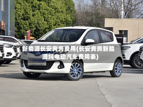 新能源长安奔奔费用(长安奔奔新能源纯电动汽车费用表)