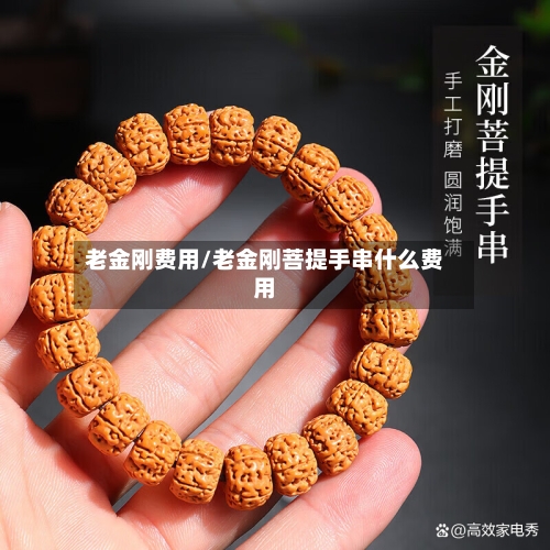 老金刚费用/老金刚菩提手串什么费用