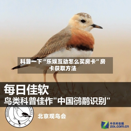 科普一下“乐娱互动怎么买房卡”房卡获取方法