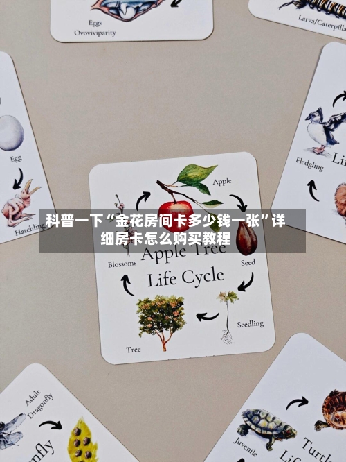 科普一下“金花房间卡多少钱一张”详细房卡怎么购买教程-第2张图片