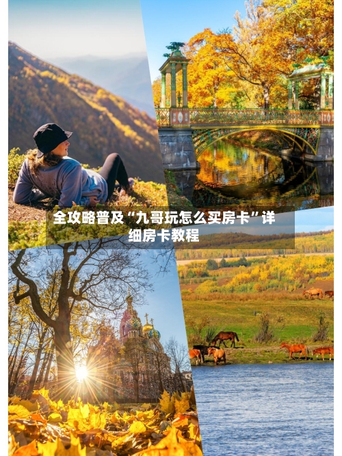 全攻略普及“九哥玩怎么买房卡	”详细房卡教程-第2张图片