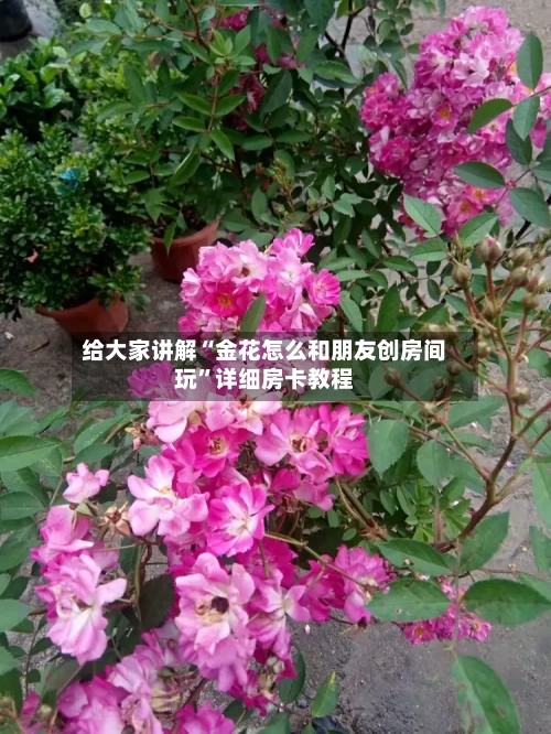 给大家讲解“金花怎么和朋友创房间玩”详细房卡教程-第2张图片