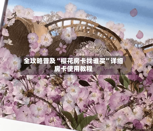 全攻略普及“樱花房卡找谁买	”详细房卡使用教程-第2张图片
